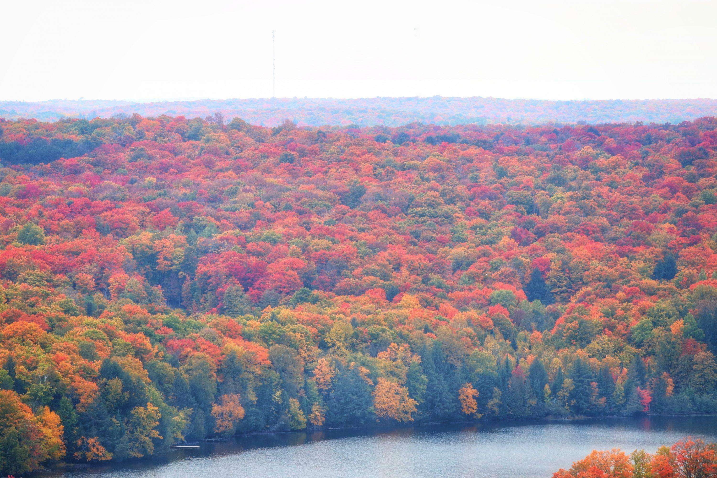 Fall Colours in Haliburton