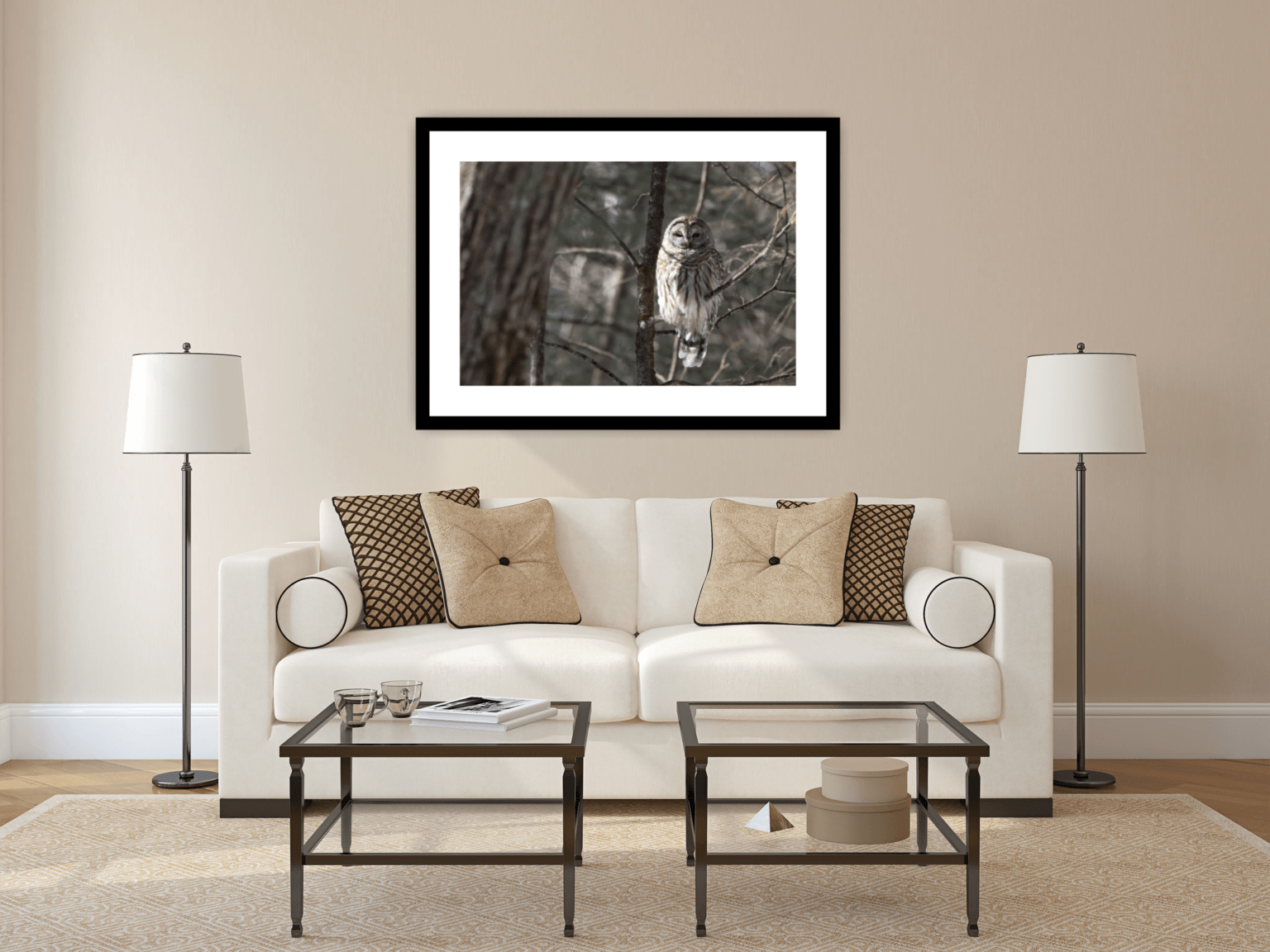 Barred Owl in a Frame