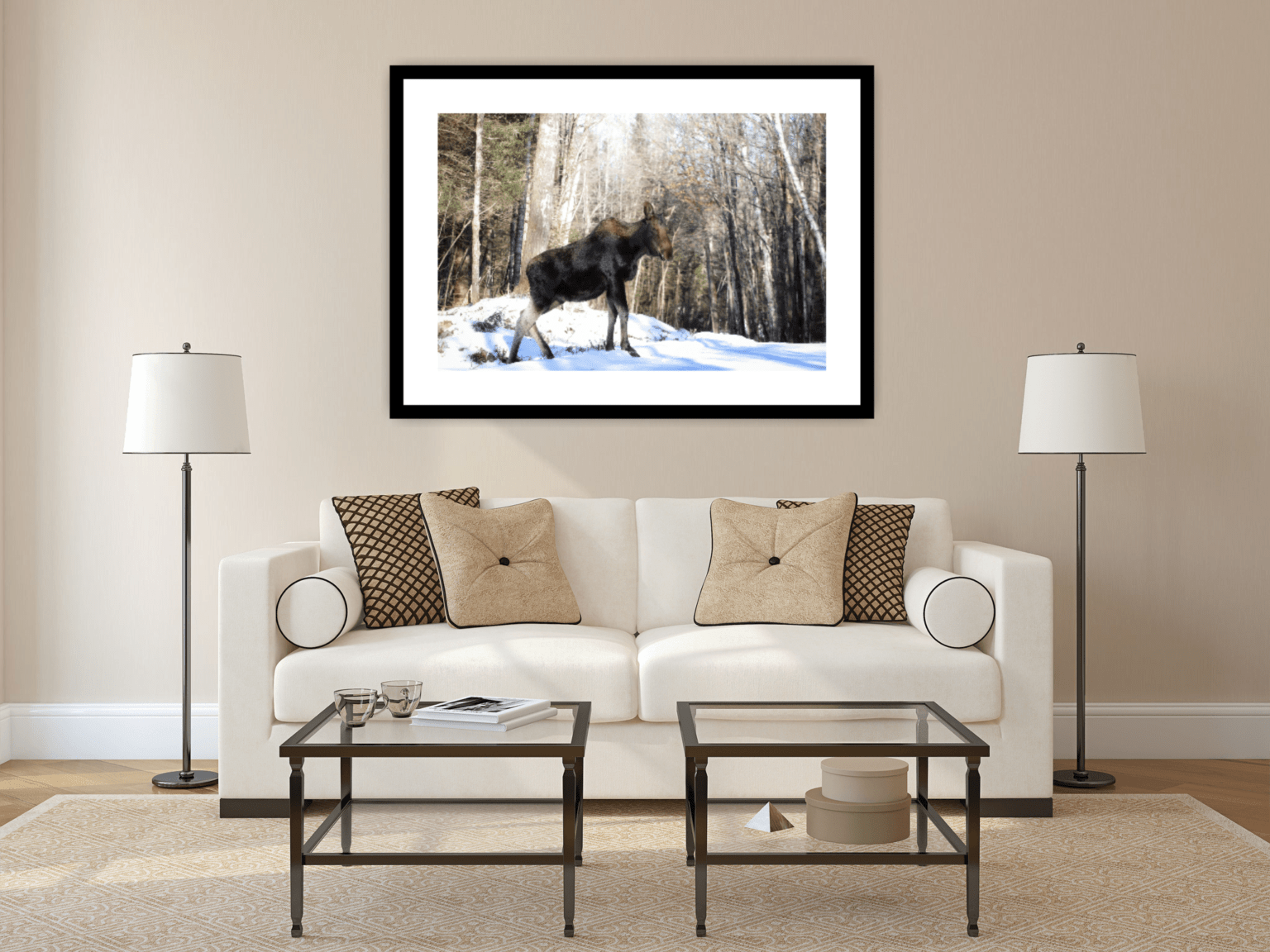 Cow Moose in a Frame