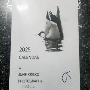 2025 Black and White Calendar