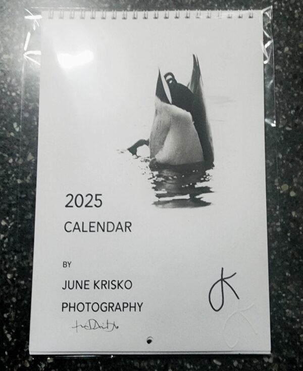 2025 Black and White Calendar